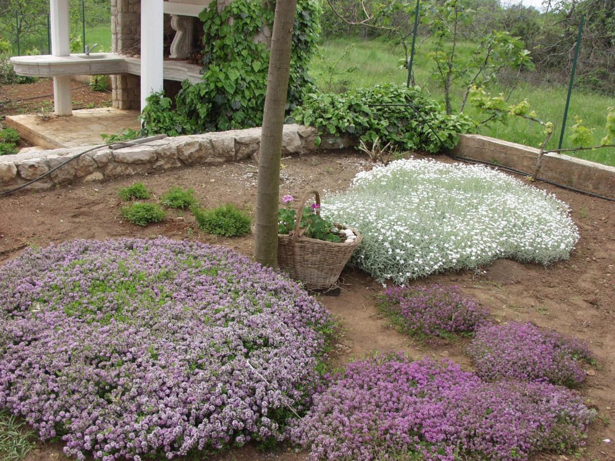 Holiday House "Lea" Lukoran Exterior foto